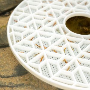 Lobster Family Bundle