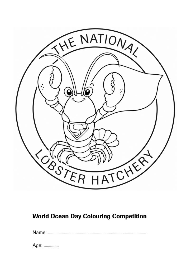 Poster of Super Lobster, for the World Ocean Day Poster Colouring Competition